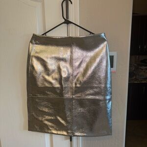 Metallic Silver Skirt